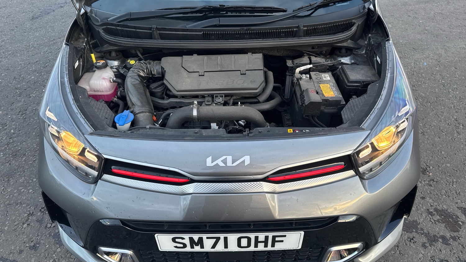 Used Kia Picanto 2022 for sale - 76329544: Photo 8