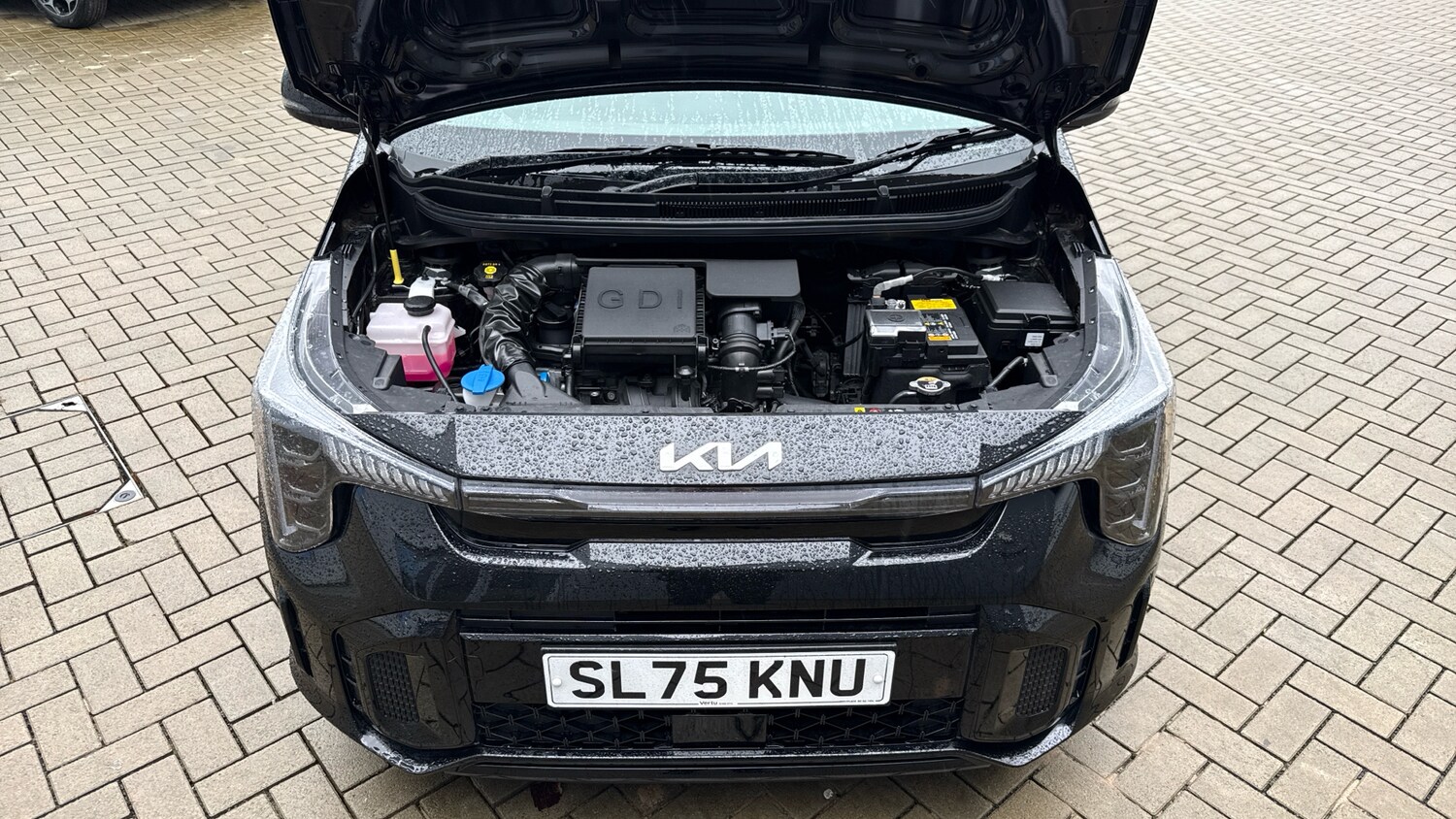 Used Kia Picanto 2025 for sale - 77691456: Photo 8