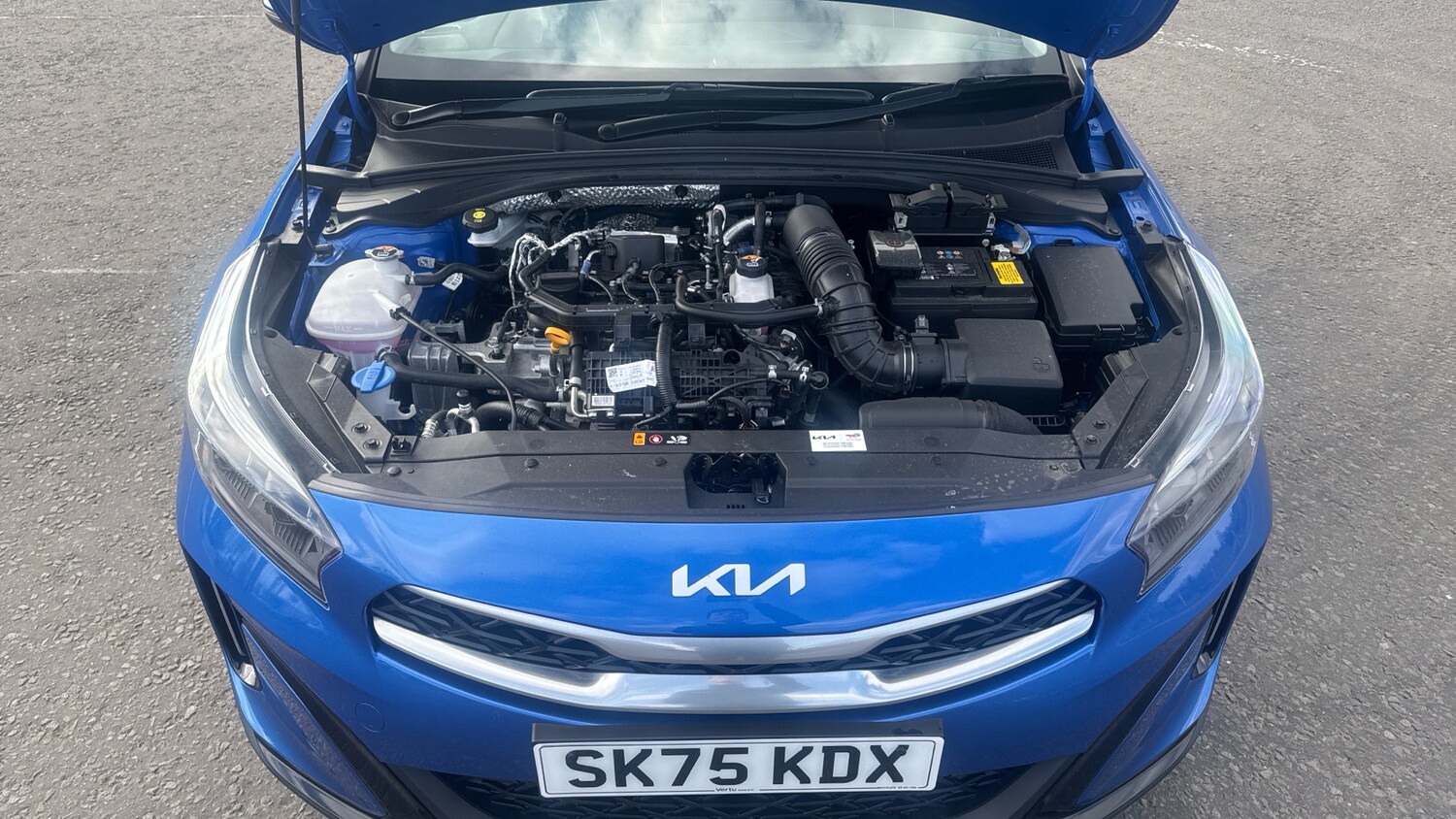 Used Kia XCeed 2025 for sale - 78222740: Photo 8