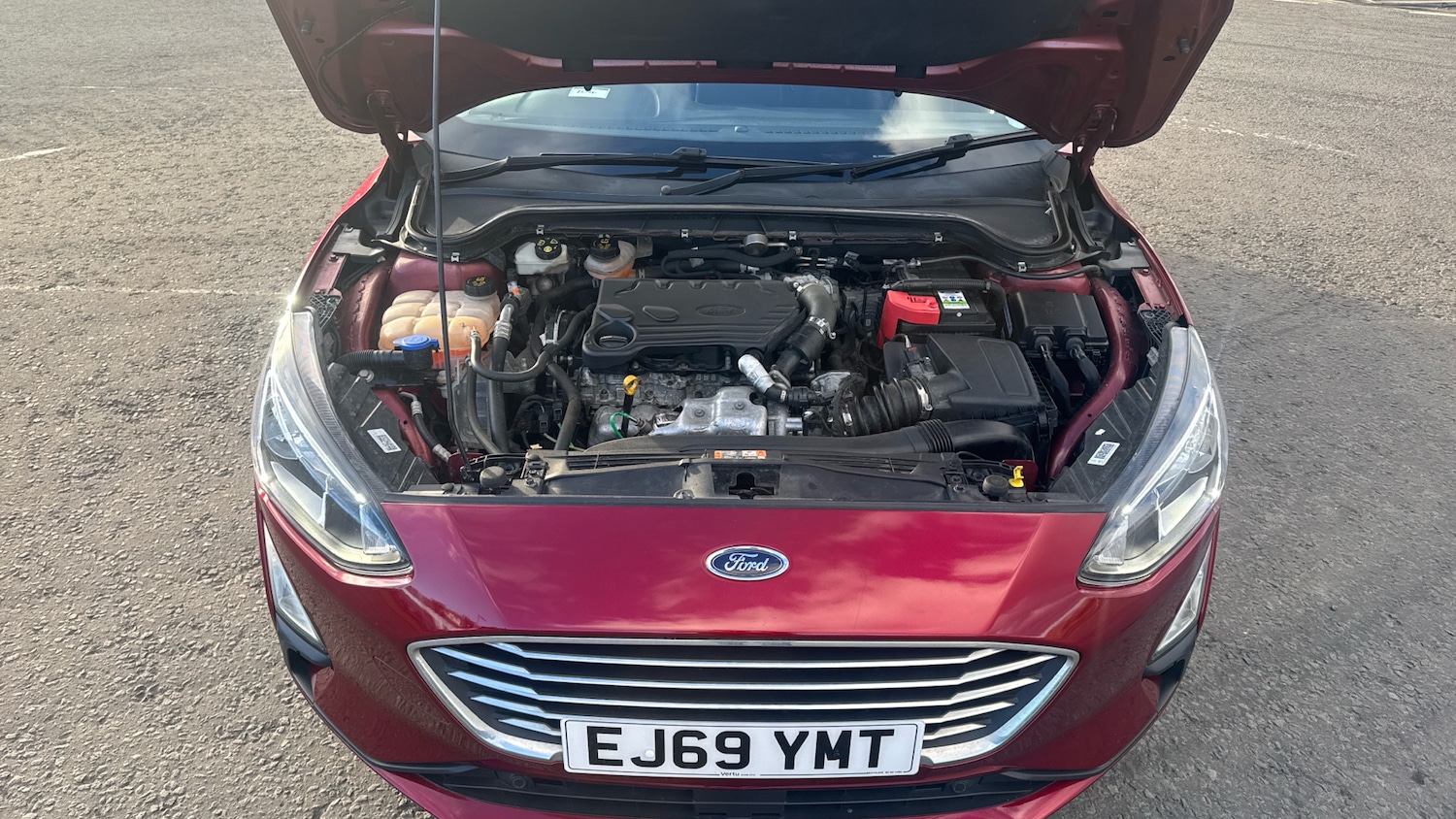 Used Ford Focus 2019 for sale - 77679313: Photo 8