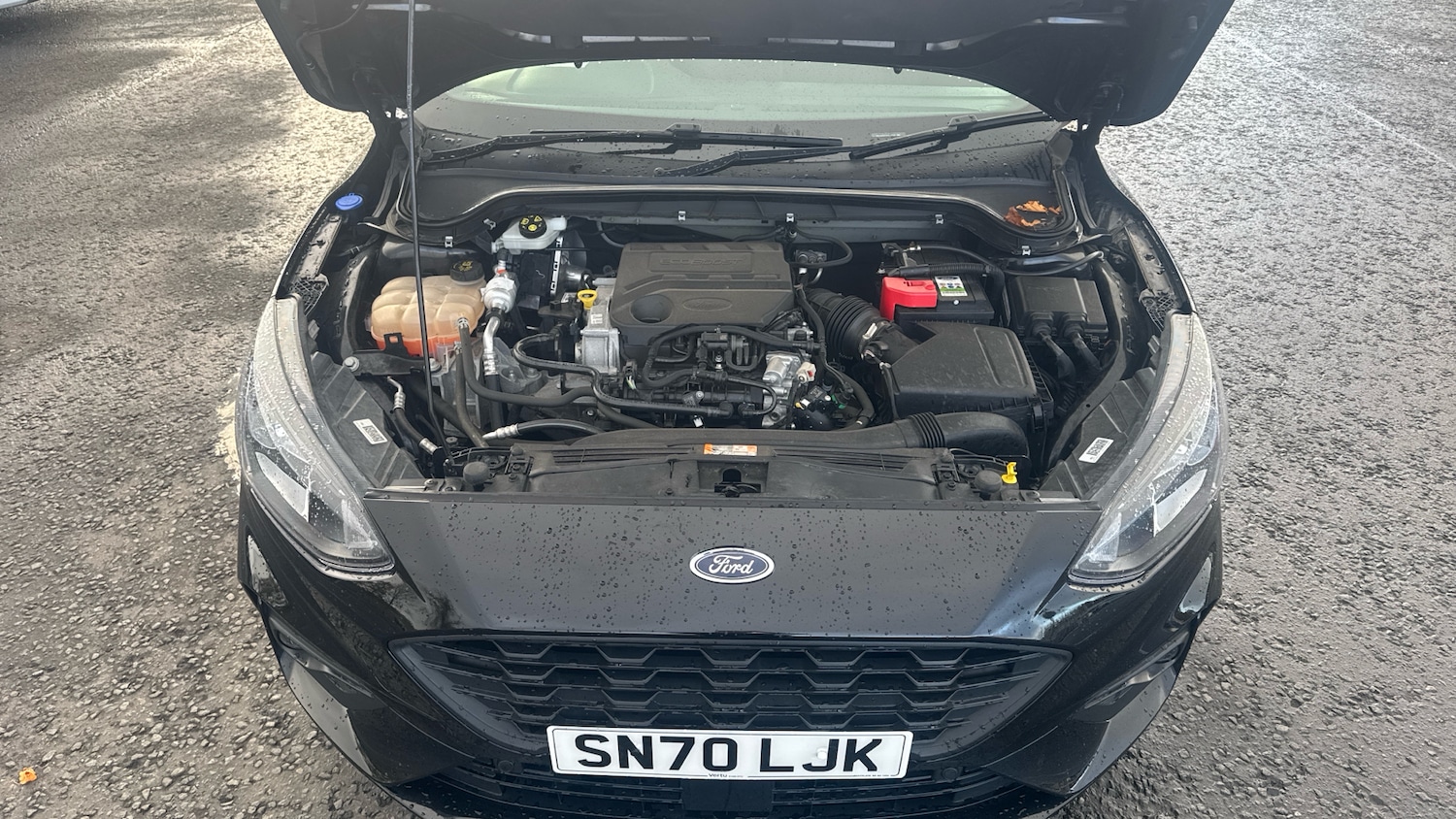 Used Ford Focus 2020 for sale - 76405182: Photo 8