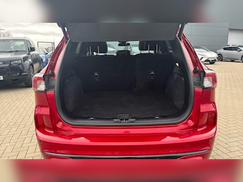 Used Ford Kuga 2023 for sale - 77932523: Photo