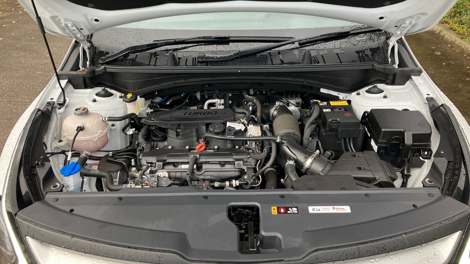 Used Kia Sportage 2024 for sale - 77581953: Photo 8