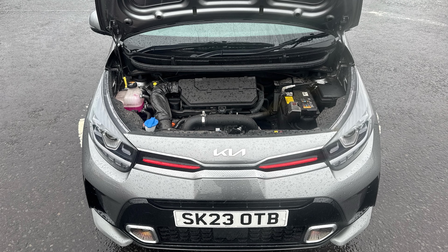 Used Kia Picanto 2023 for sale - 76599879: Photo 8