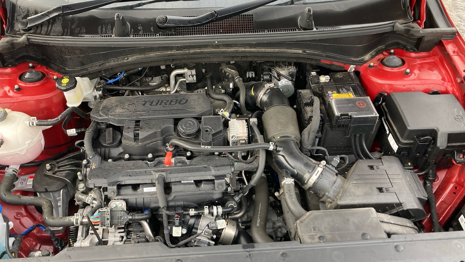 Used Kia Sportage 2025 for sale - 77590293: Photo 8