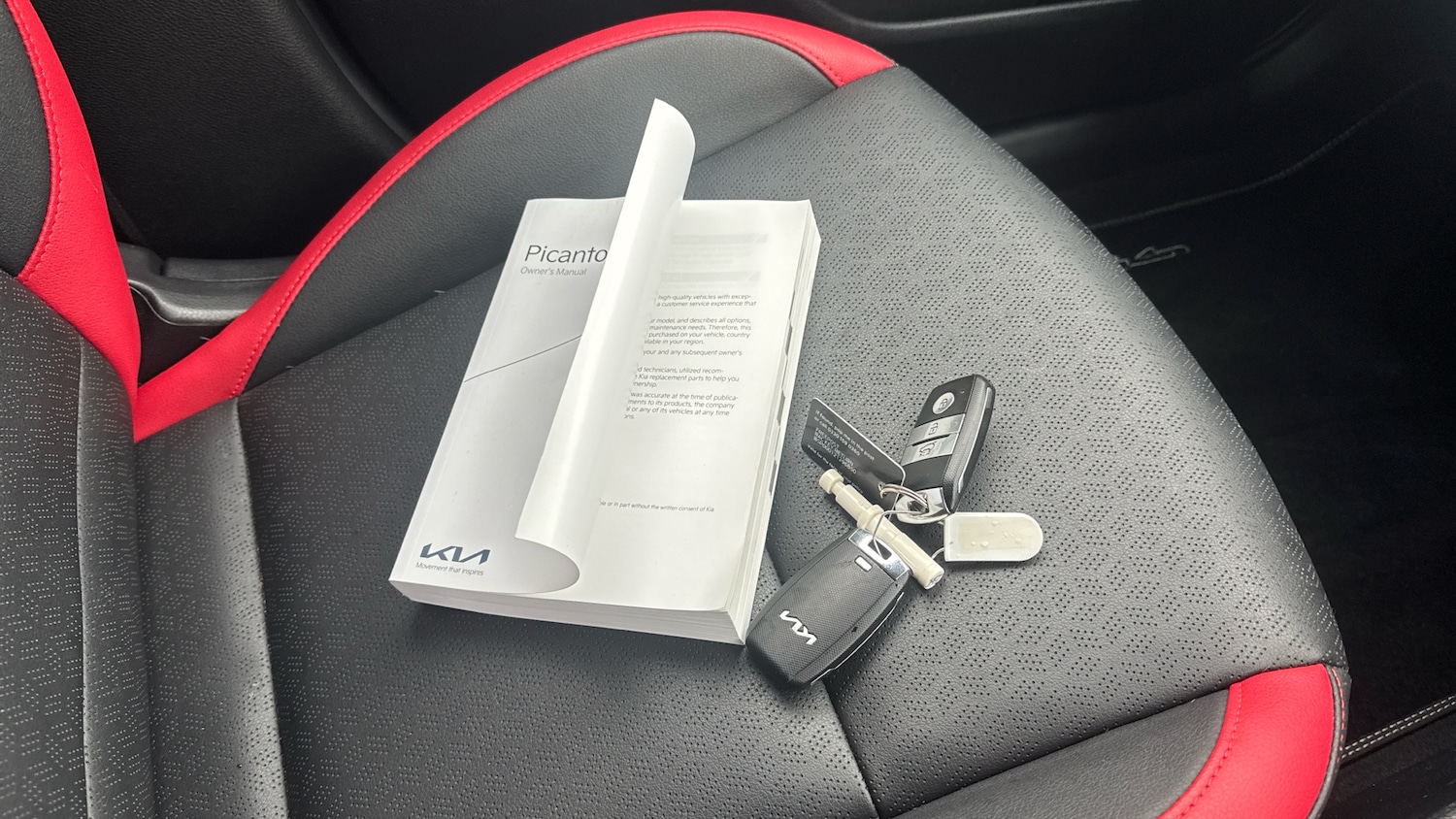 Used Kia Picanto 2023 for sale - 76553693: Photo 19