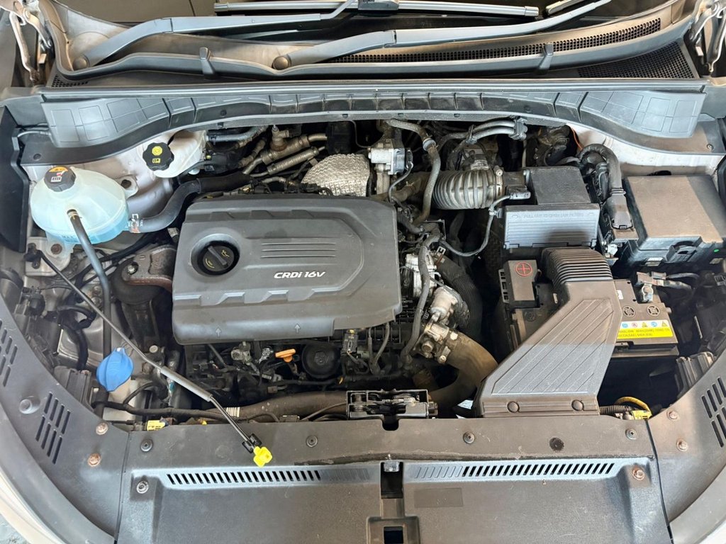 Used Hyundai TUCSON 2015 for sale - 77451958: Photo 41