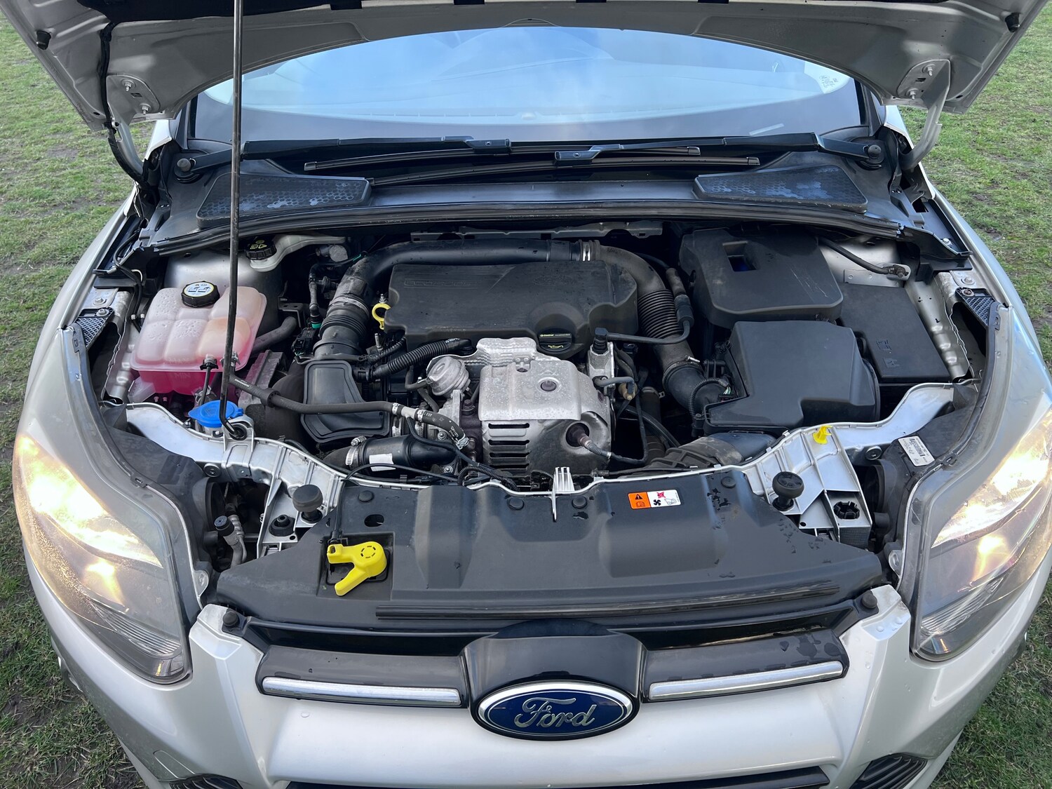 Used Ford Focus 2012 for sale - 77576560: Photo 42