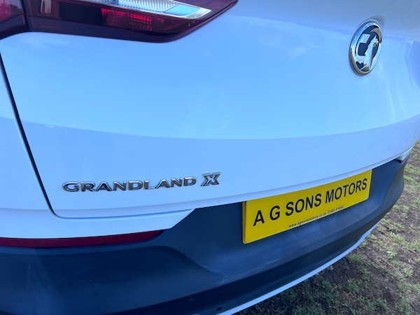 Used Vauxhall Grandland X 2020 for sale - 75784493: Photo 45