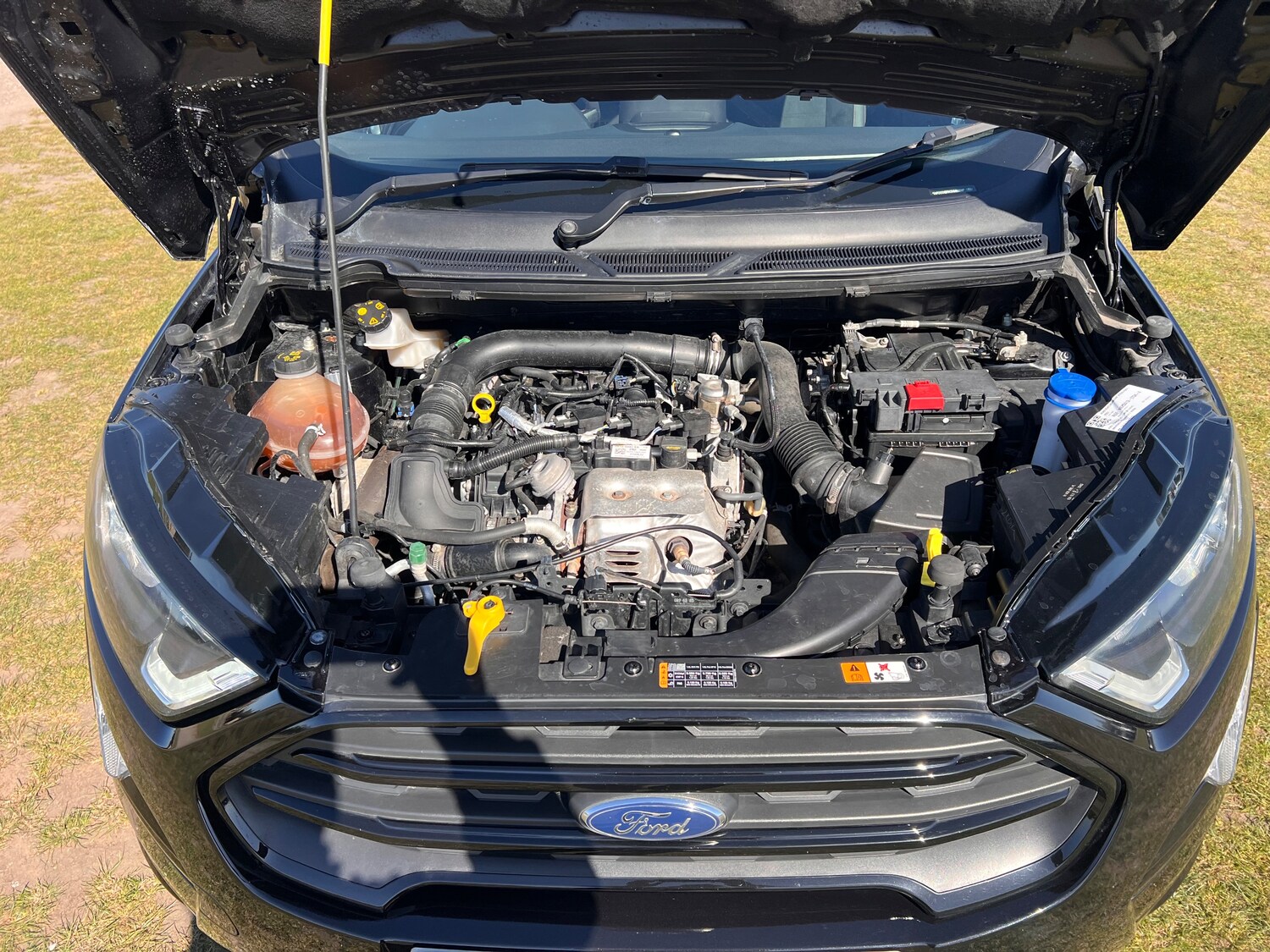 Used Ford Ecosport 2022 for sale - 78173060: Photo 36