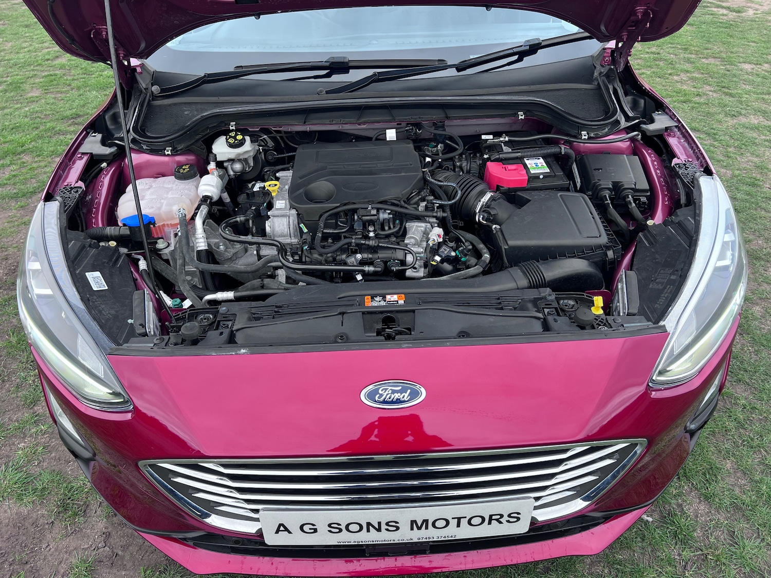 Used Ford Focus 2019 for sale - 76273782: Photo 37