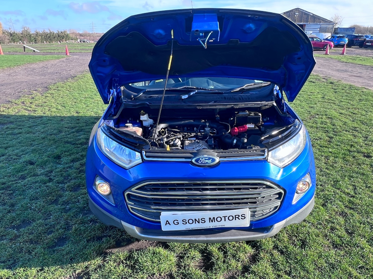 Used Ford Ecosport 2017 for sale - 76905163: Photo 35