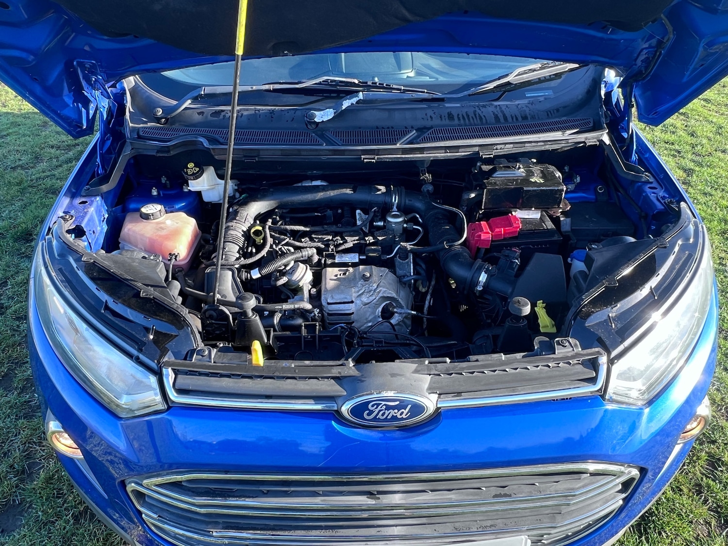 Used Ford Ecosport 2017 for sale - 76905163: Photo 36