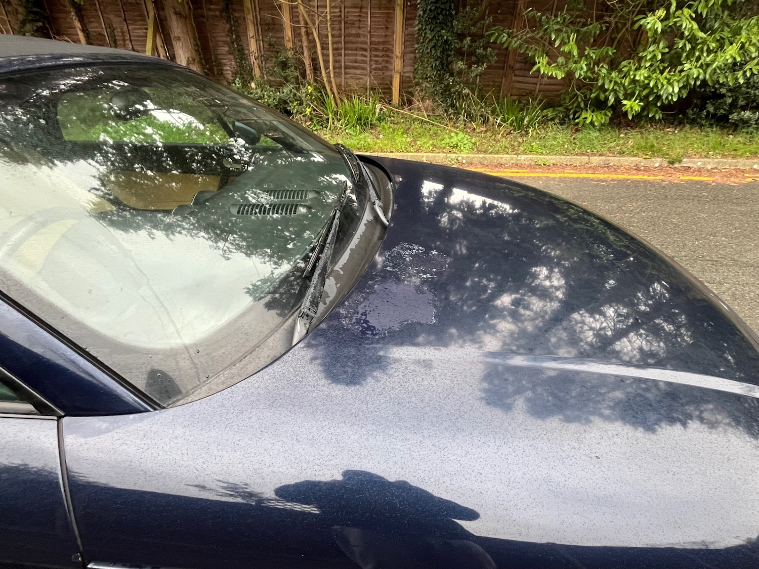 Used Audi TT 2003 for sale - 78055640: Photo 10