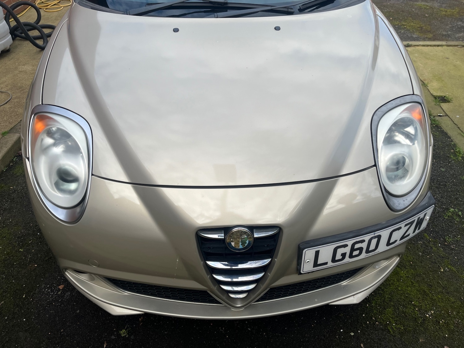 Used Alfa Romeo MiTo 2010 for sale - 77729619: Photo 2