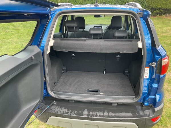 Used Ford Ecosport 2018 for sale - 75666683: Photo 11