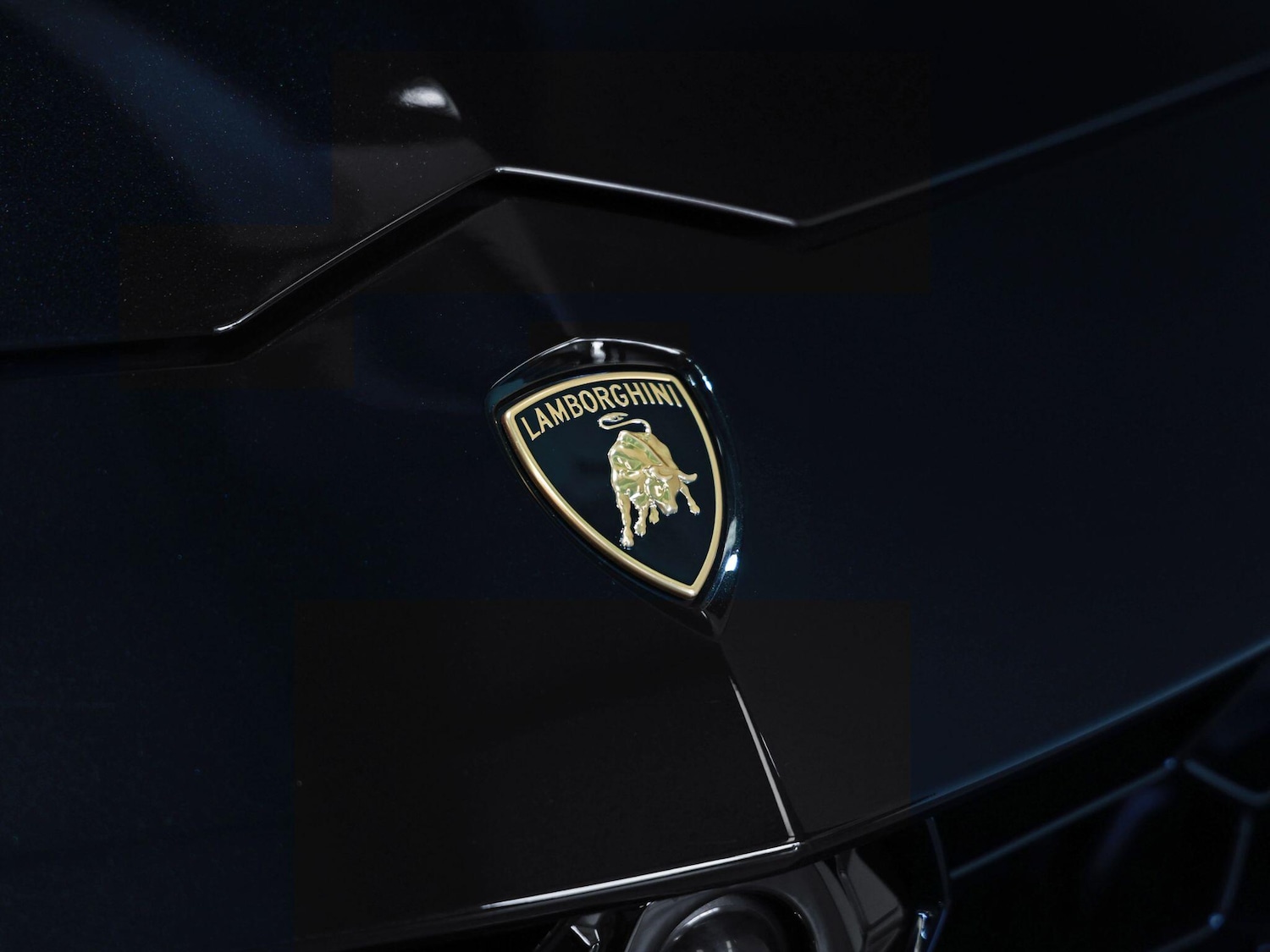 Used Lamborghini Urus 2021 for sale - 76549987: Photo 5