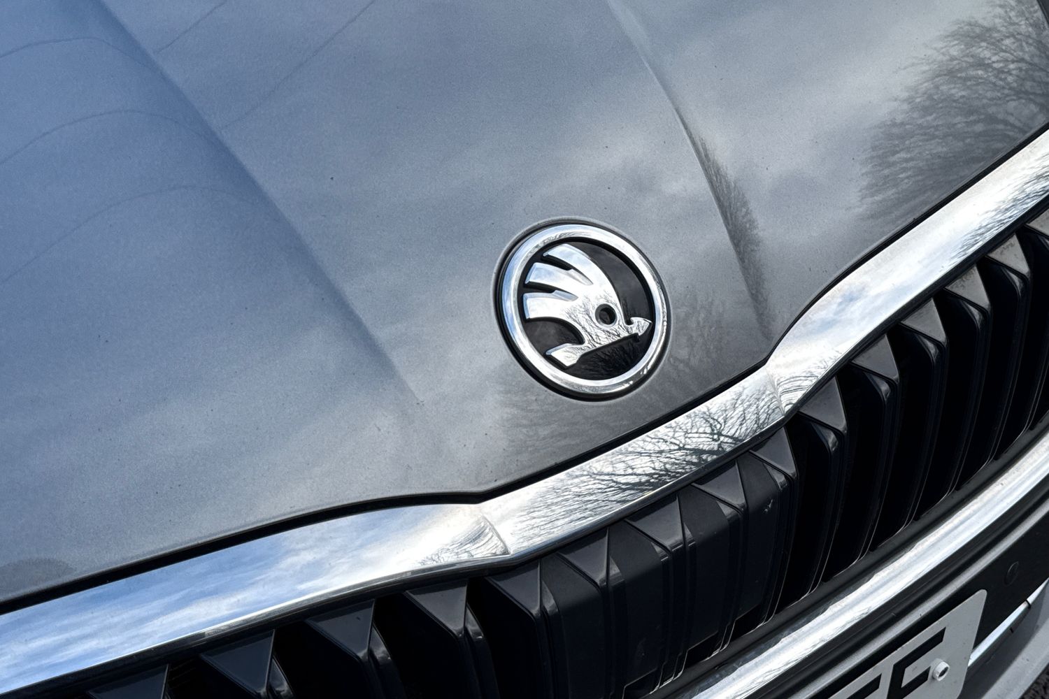 Used Skoda Octavia 2024 for sale - 77535452: Photo 26