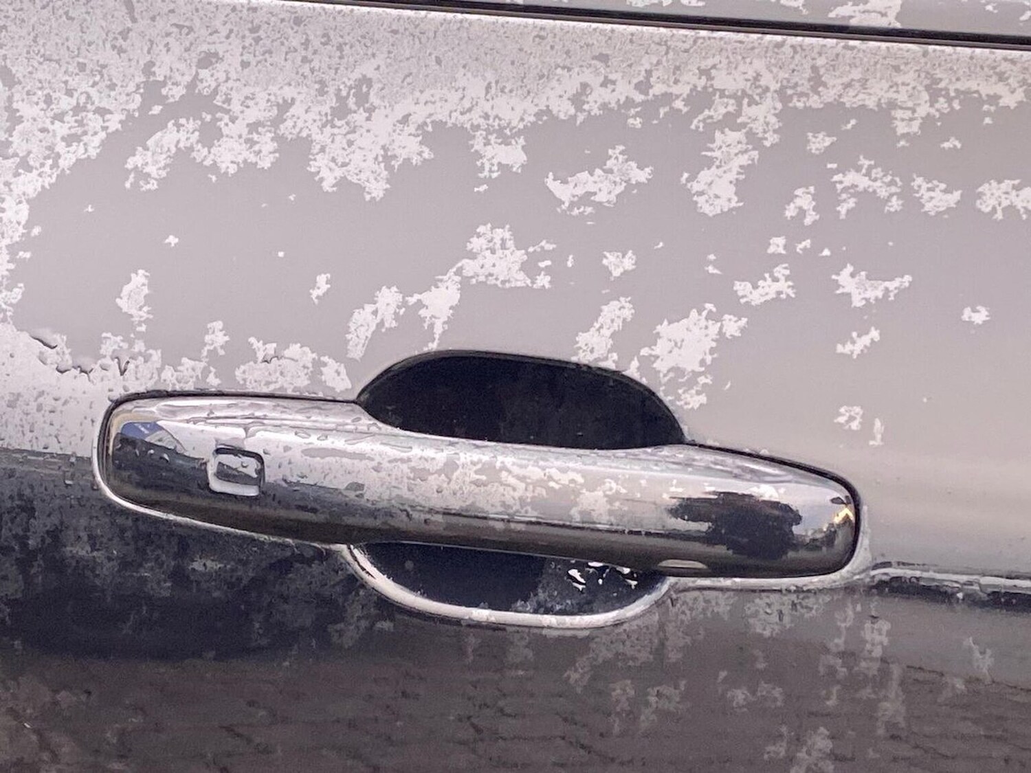 Used Volvo XC60 2025 for sale - 77676310: Photo 35