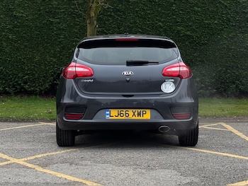 Used Kia Ceed 2016 for sale - 77918256: Photo