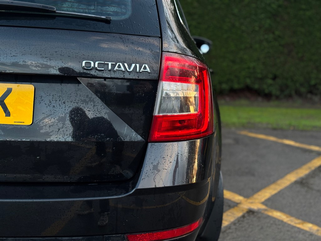 Used Skoda Octavia 2019 for sale - 77367304: Photo 23