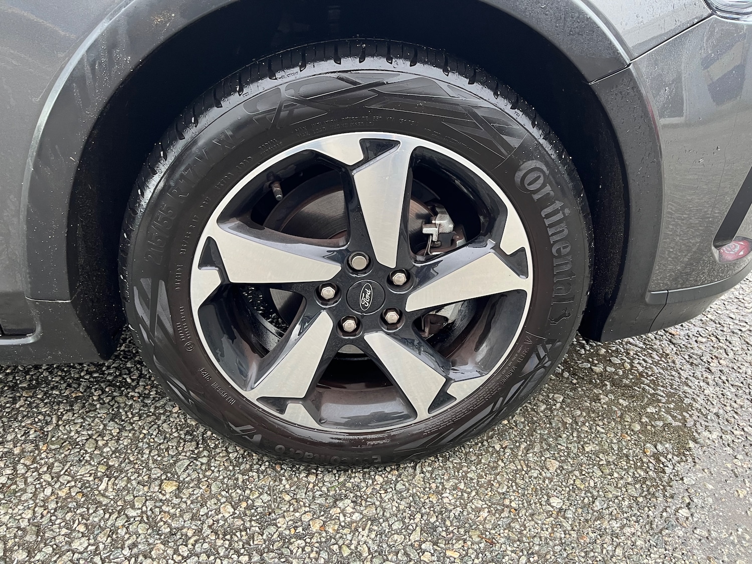 Used Ford Focus 2023 for sale - 77336921: Photo 9