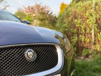 Used Jaguar XF 2013 for sale - 74510179: Photo
