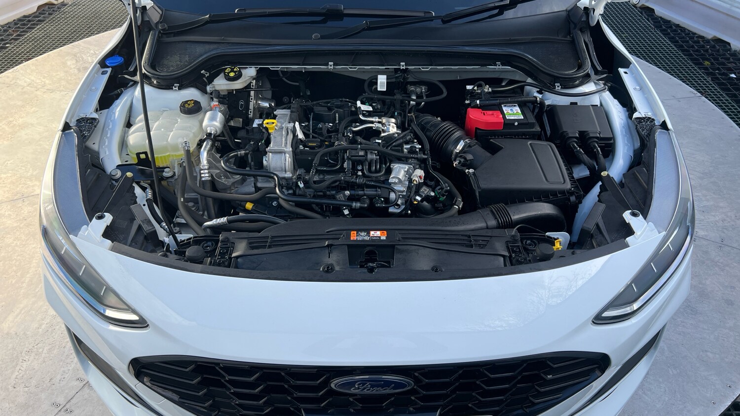 Used Ford Focus 2024 for sale - 77353560: Photo 8