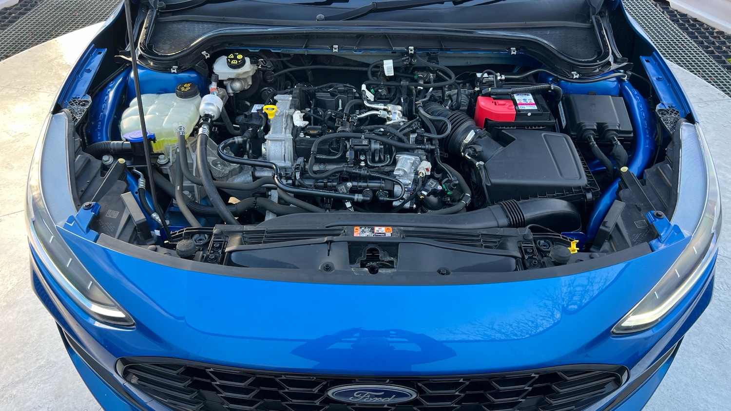 Used Ford Focus 2023 for sale - 77104498: Photo 8