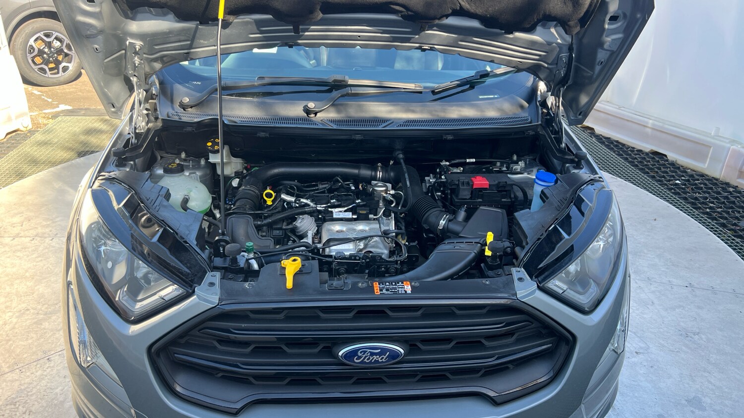 Used Ford Ecosport 2023 for sale - 77918412: Photo 8