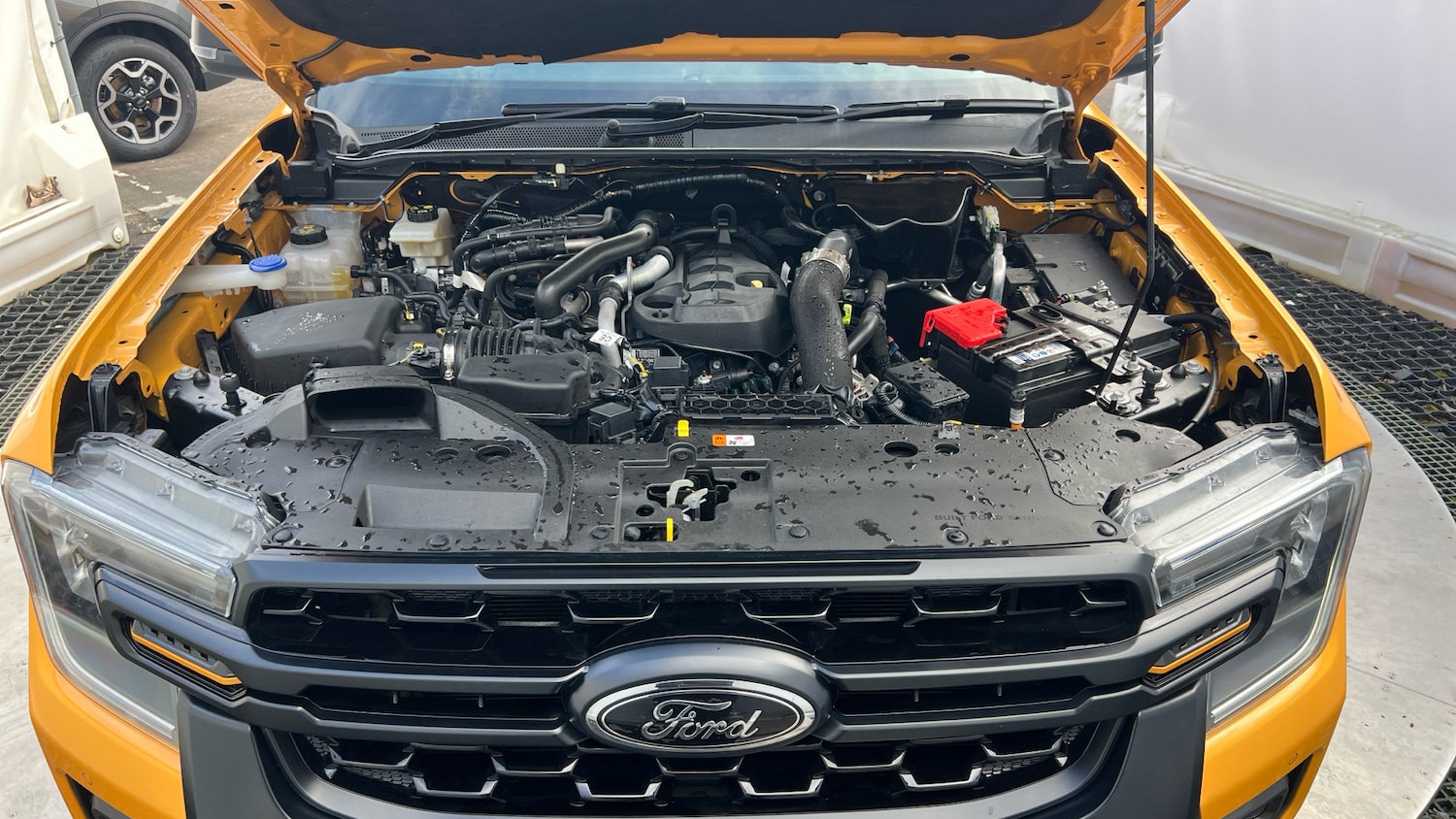 Used Ford Ranger 2024 for sale - 77883866: Photo 8