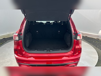 Used Ford Kuga 2023 for sale - 77665531: Photo