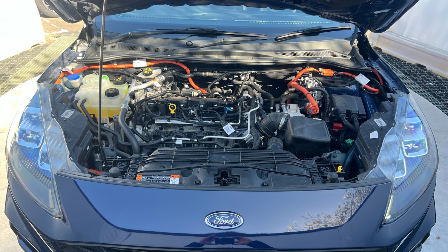 Used Ford Kuga 2023 for sale - 77931570: Photo 8