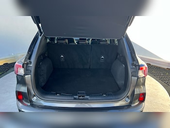 Used Ford Kuga 2023 for sale - 77432518: Photo