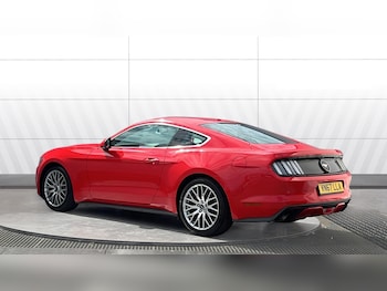 Used Ford Mustang 2017 for sale - 79528305: Photo