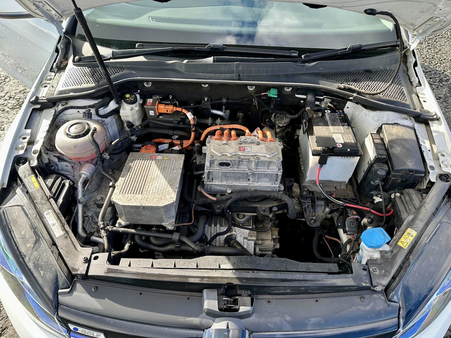 Used Volkswagen Golf 2019 for sale - 77781612: Photo 24