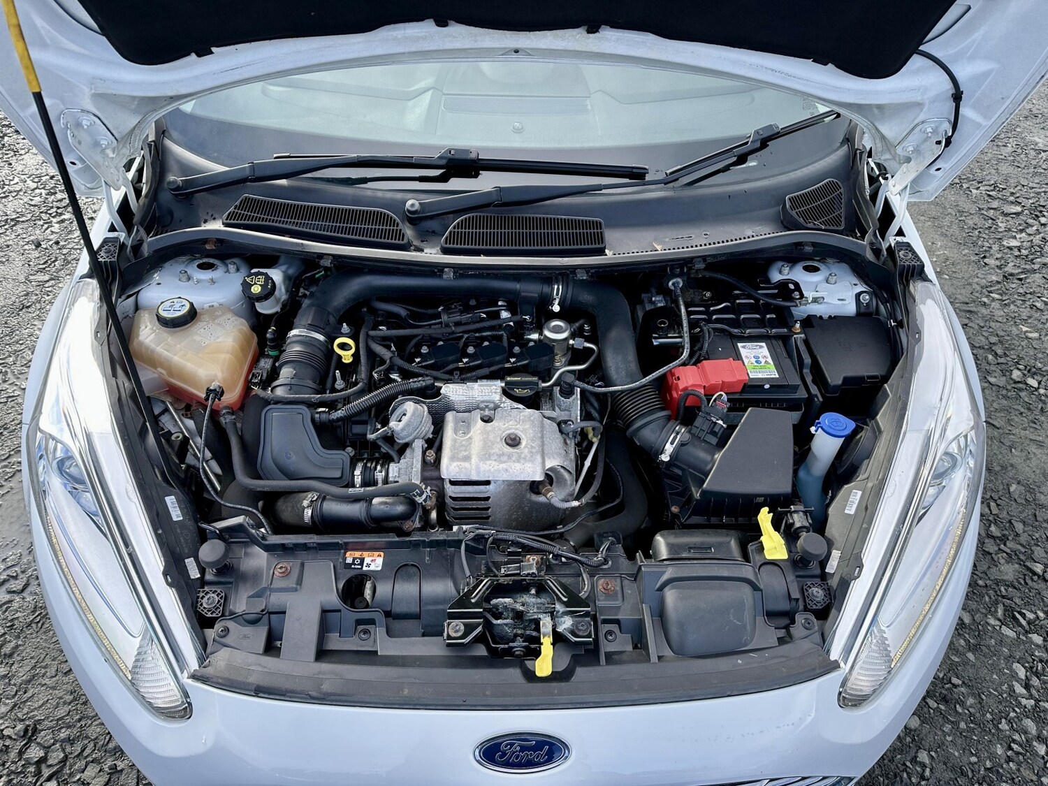 Used Ford Fiesta 2016 for sale - 77888445: Photo 26