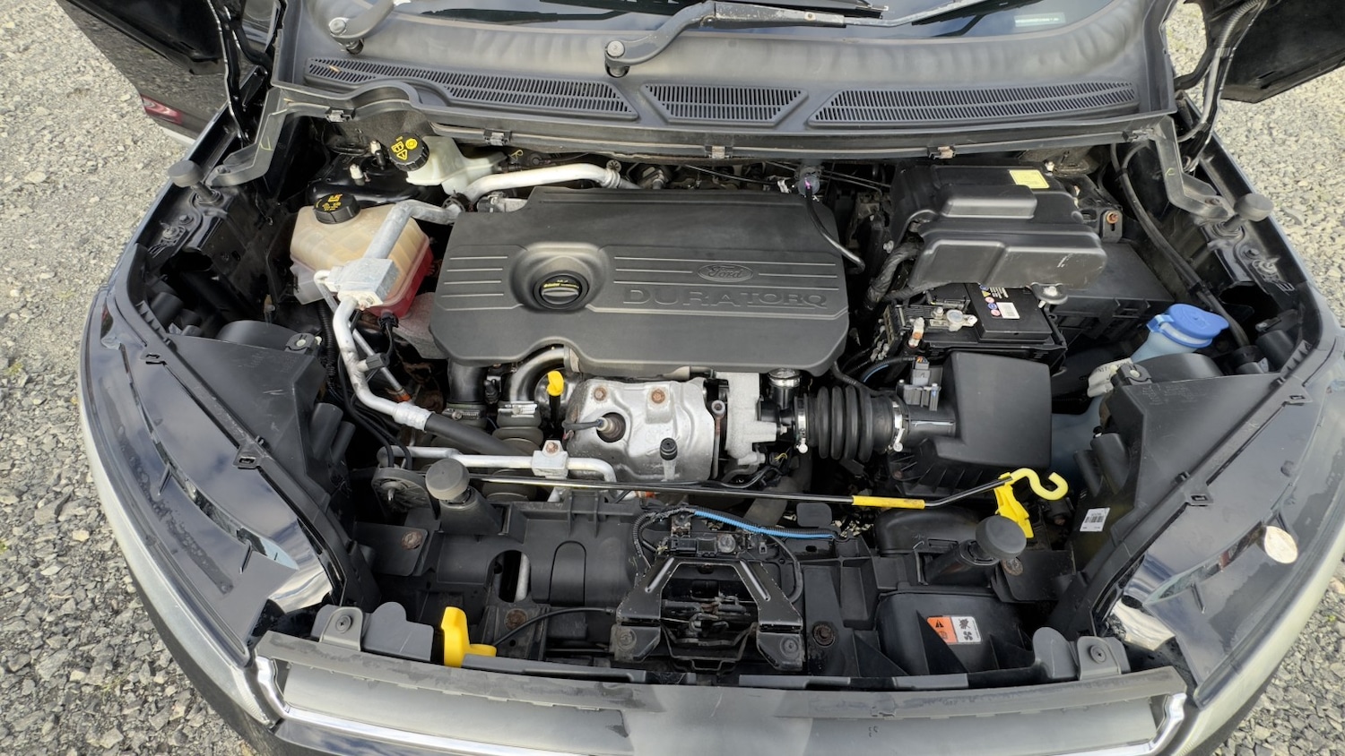 Used Ford Ecosport 2016 for sale - 76045679: Photo 27