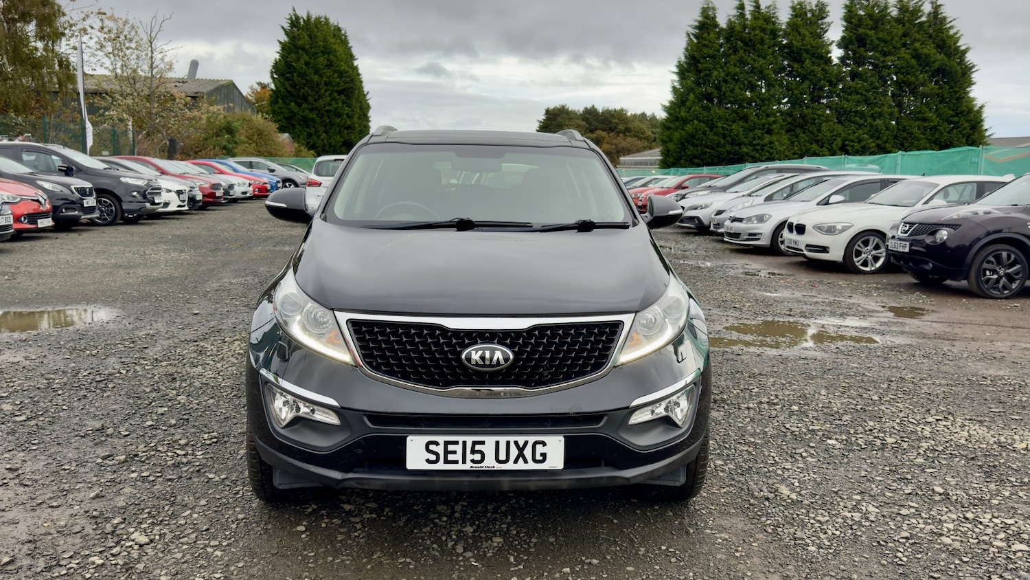 Used Kia Sportage 2015 for sale - 76142487: Photo 6