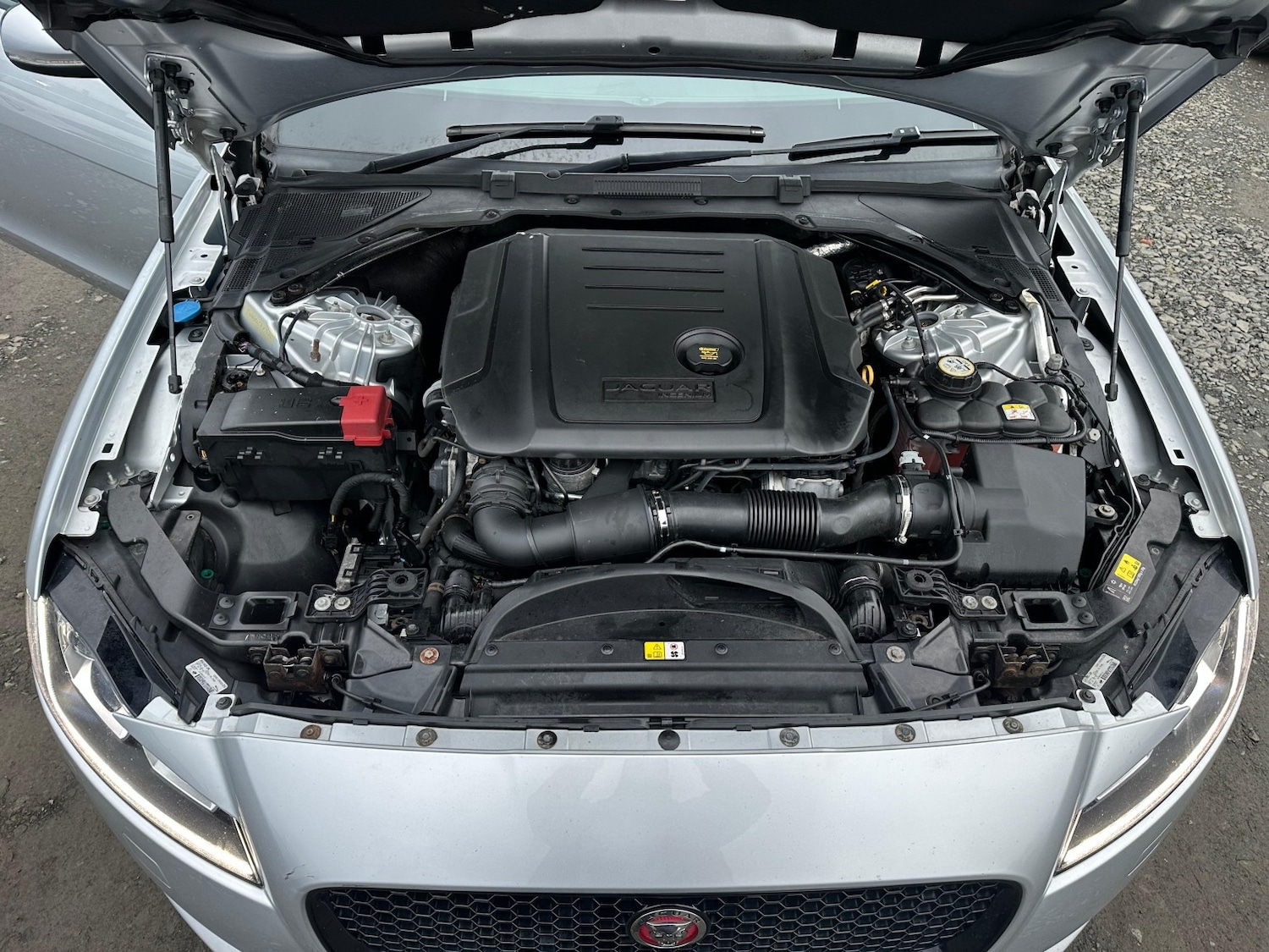 Used Jaguar XF 2017 for sale - 77391933: Photo 19