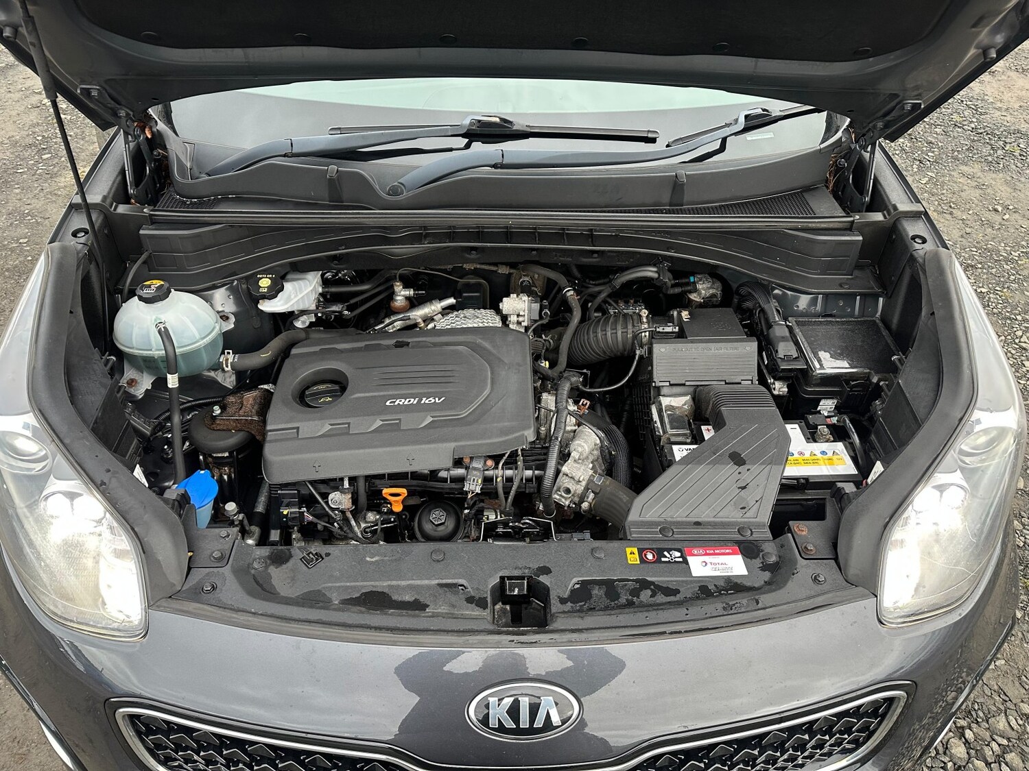 Used Kia Sportage 2018 for sale - 77336278: Photo 23