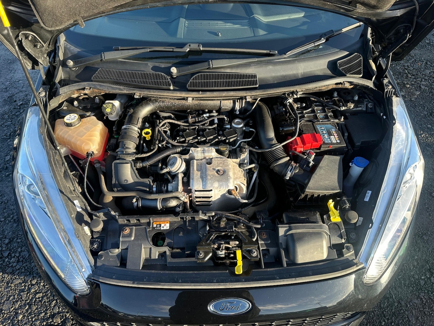 Used Ford Fiesta 2017 for sale - 77019078: Photo 23