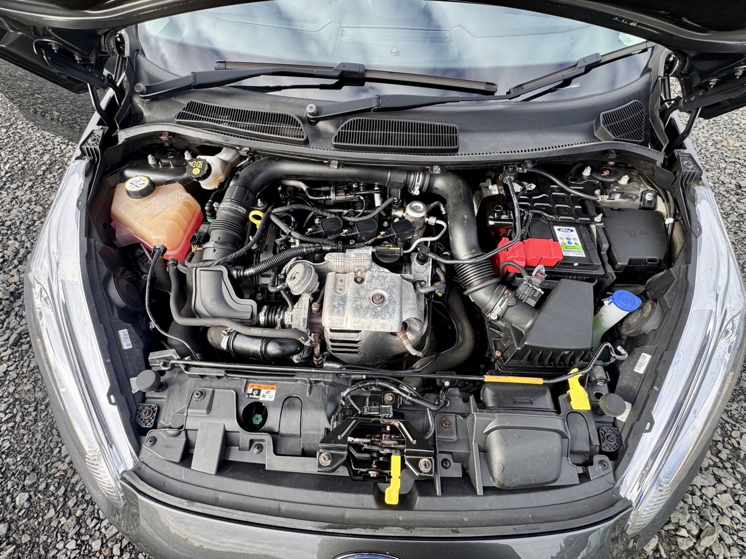 Used Ford Fiesta 2016 for sale - 78145886: Photo 30