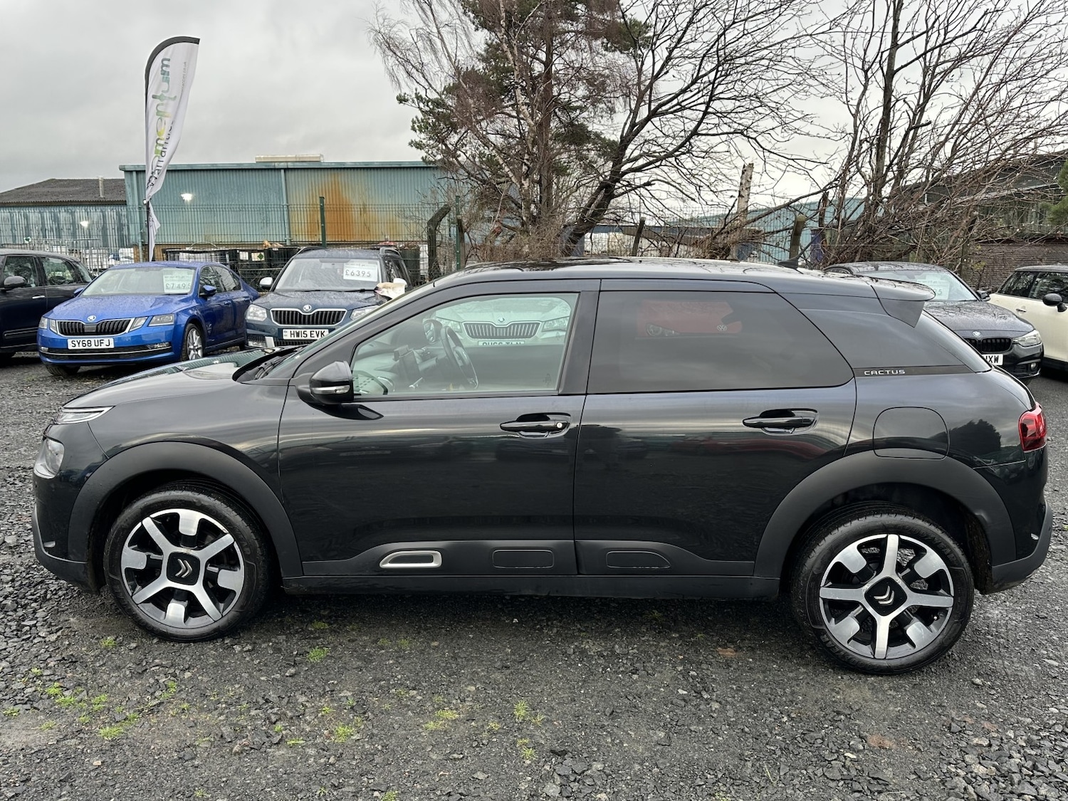 Used Citroen C4 Cactus 2018 for sale - 76725569: Photo 12