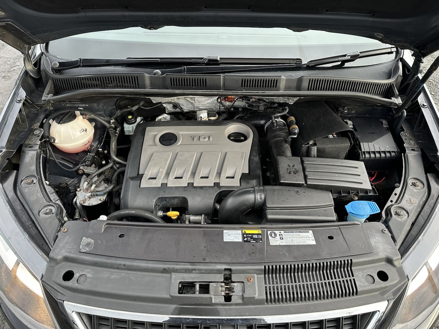 Used SEAT Alhambra 2014 for sale - 76986800: Photo 29