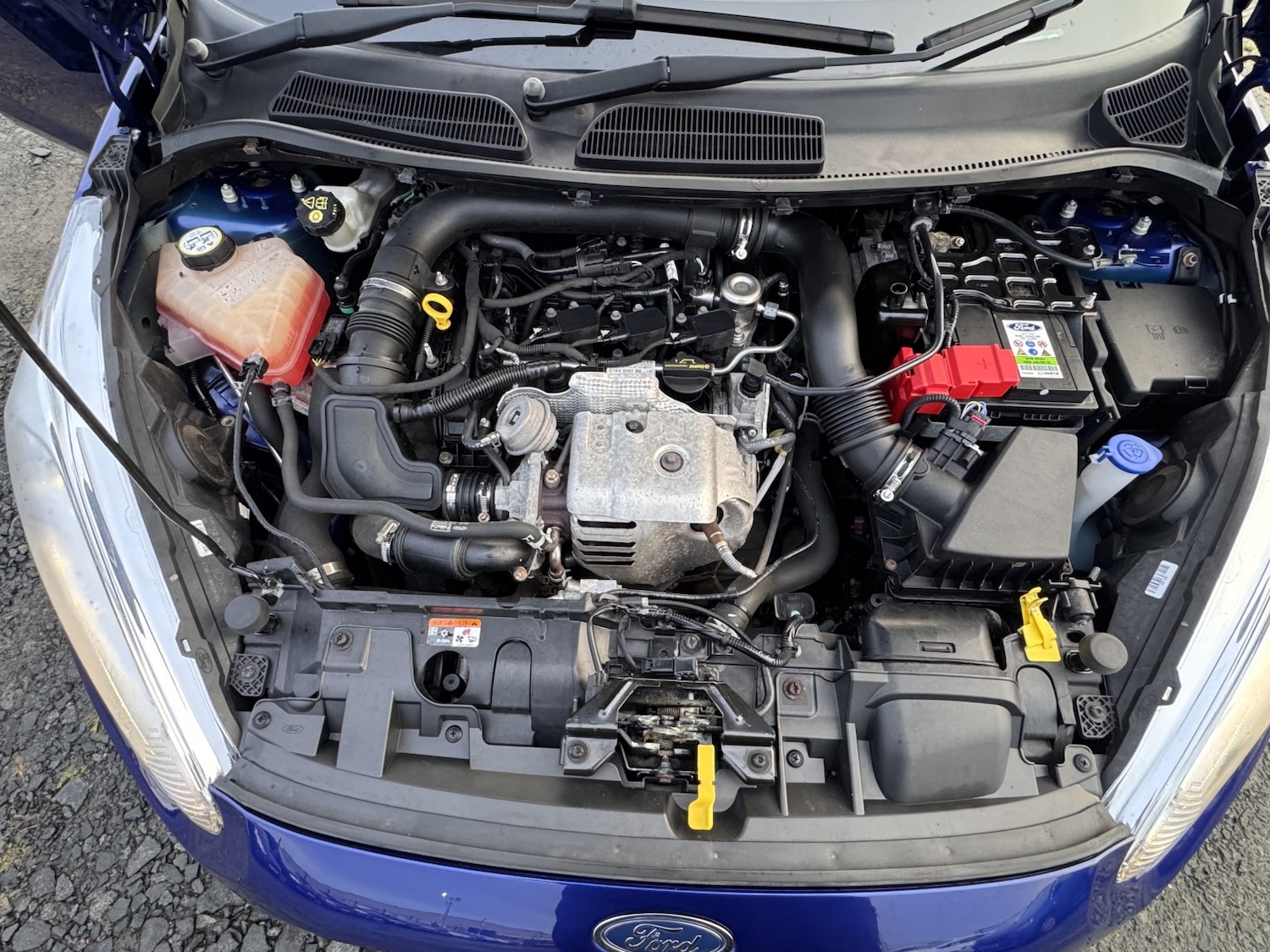 Used Ford Fiesta 2016 for sale - 76951111: Photo 24