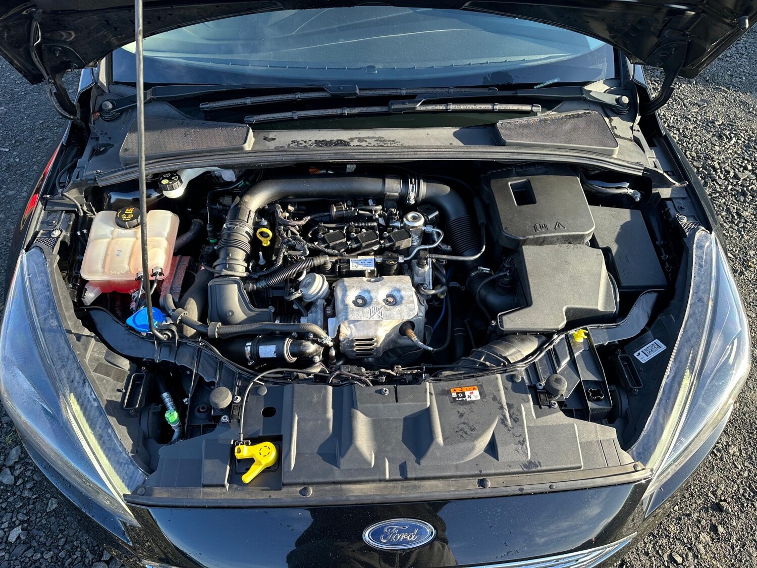 Used Ford Focus 2018 for sale - 77370647: Photo 23