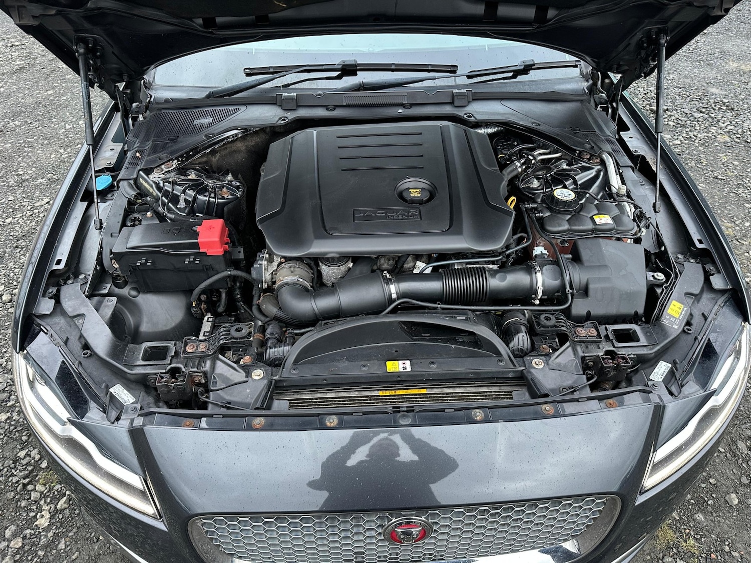 Used Jaguar XF 2016 for sale - 77465772: Photo 23