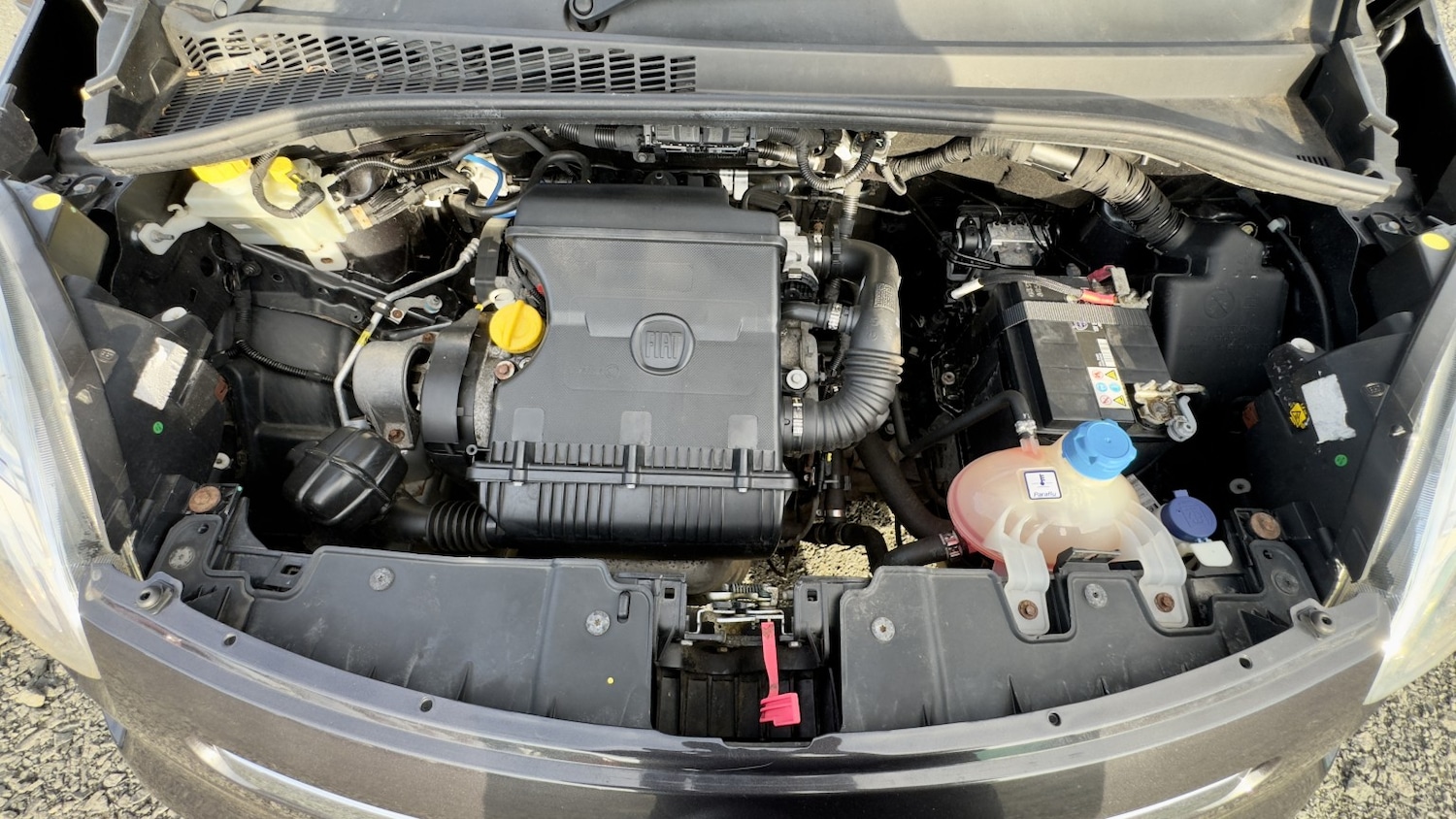 Used Fiat 500L 2015 for sale - 76231004: Photo 20