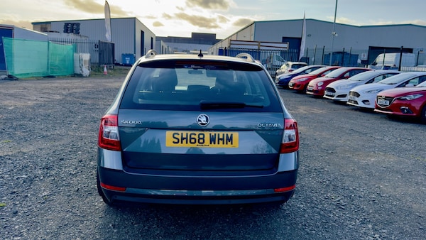Used Skoda Octavia 2018 for sale - 76231007: Photo 11
